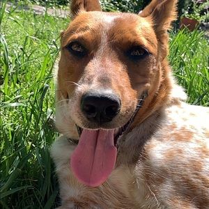 Meet your Posher, Elisa